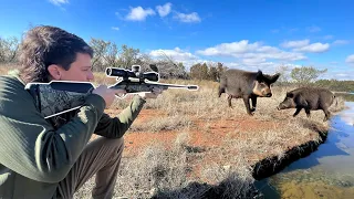 Hunting Wild Hogs! (MOST DESTRUCTIVE PEST in AMERICA)