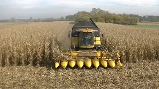 Koszenie kukurydzy na ziarno 2019