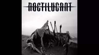Noctilucant - Dead Meat [Full Length Dark Ambient Album]