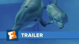 Dolphin Tale 2 Official Trailer HD | Trailers | FandangoMovies