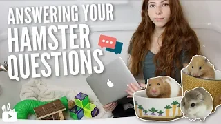 ANSWERING YOUR HAMSTER QUESTIONS...in the bathtub 🐹