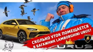 Обзор Lamborghini Urus от Охотника. Как стрелять на Стенде. Ищем Ружья на Выставке в Москве?