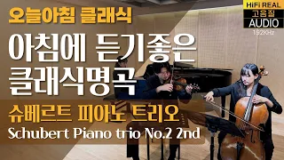 🔴Schubert Piano trio No 2  2nd, 1mClassic