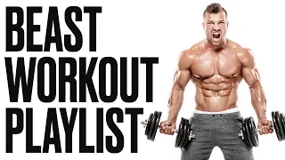 Beast Workout Playlist | Timmy Trumpet Biggest Hits