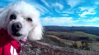 Bluff trail in Sussex, NB Canada P3