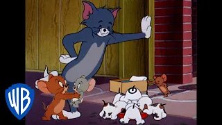 Tom und Jerry auf Deutsch | Klassischer Cartoon 118 | WB Kids