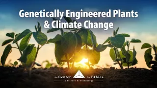 Genetically Engineered Plants and Climate Change - Exploring Ethics