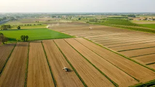 4 FENDT | PREPARAZIONE TERRENO E SEMINA | Väderstad - Alpego - Maschio Gaspardo - Sfoggia