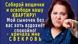 - Собирай вещички и съезжай! – кричала мне СВЕКРОВЬ, - Я не уйду, пока ты не освободишь квартиру!