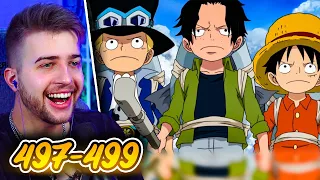 One Piece Episode 497, 498 & 499 Reaction