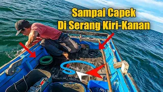 Akibat Mancing terlalu dekat Spot | Mancing ikan di laut