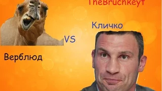 TheBruchkeyt-Кличко VS Верблюд.