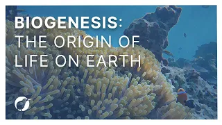 Biogenesis: The Origin Of Life On Earth