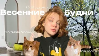 БУДНИ ВЕСНЫ|результаты пробника, чтение, выходные, ЕГЭ 2024🤍💌