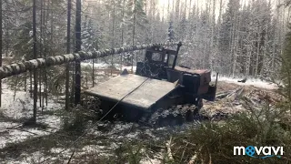 ТДТ-55 разулись в лесу