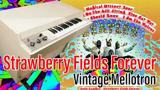 Strawberry Fields Forever - The Beatles - Cover by Vintage Mellotron