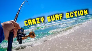 This Beach was LOADED With BIG Fish  -  INSANE SURF FISHING Action!