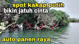 mancing kakap putih disini selalu panen banyak .