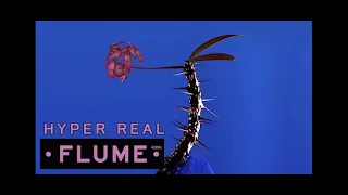 Flume -  HyperReal[432Hz]