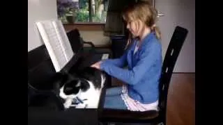 Funny cat Minoe loves the piano!