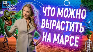 БАТАРЕЙКИ ИЗ БОРЩЕВИКА РЕАЛЬНОСТЬ?! ЛЕЧИМ ПОЧВУ ПО-НАУЧНОМУ | Наука Просто