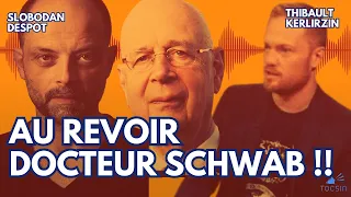 Schwab écarté : les dessous de son départ ! - Thibault Kerlirzin et Slobodan Despot