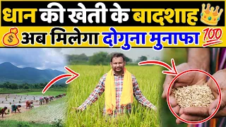 धान की खेती से बदलेगी किस्मत💯🤑🔥 Rice Farming A to Z | Indian Farmer