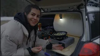 COOKING DINNER IN MY CAR
