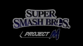 Project M(SSBB) - Super Mario World/Castle Theme Remix - Garrett Williamson (13)