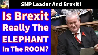 SNP Leader Absolutely Right, Brexit's The Elephant In The Room?