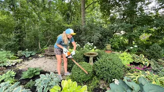 Cleaning Up The Gully: Boxwood Trimming, Cutting Back Perennials, Planting & Random Garden Fun!