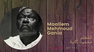 Maallem Mahmoud Gania Colours Of The Night  ألوان الليل المعلم محمود ﯕانية