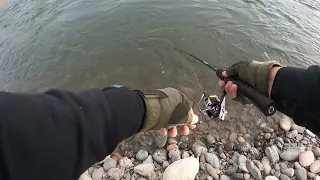 Охота на форель в Кыргызстане, конец августа 2022 года.  Trout fishing in Kyrgyzstan 2022.