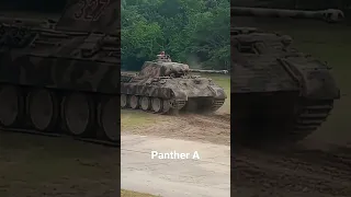 Panther A