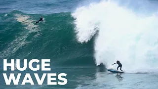 MASSIVE Waves INSIDE Sydney Harbour! Swell Of The Decade!