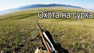 Вторая охота на сурка сезон 2022.