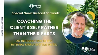 Coaching the Client's Self Rather Than Their Parts with Richard Schwartz | Heal The Divide Podinar