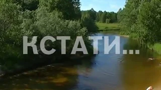 Первая летняя трагедия в Нижегородской области