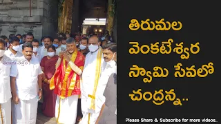 TDP Chief Sri Nara Chandrababu Naidu Offered Prayers At Tirumala Temple