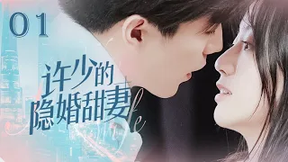 【Sweet Drama】【ENG SUB】 Hidden Sweet Wife 01 许少的隐婚甜妻 01丨霸道总裁爱上我的正确打开方式丨Possessive Male Lead