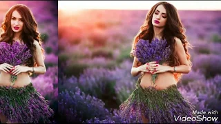 Лавандові поля Молдови! lavender fields of Moldova!