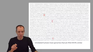 ADS1: Sequencers give pieces to genomic puzzles