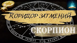 Скорпион. Коридор Затмений 14 - 28 Октября 2023 Таро Прогноз