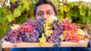 7 Varieties of Grapes YOU MUST GROW!