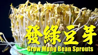 [ENG SUB] 發綠豆芽 - (國語版) How to grow Mung Bean Sprouts Using Bean Sprouts Machine