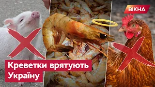 😎 Живі креветки розміром з долоню! Що для Європи розкіш, для України стане буденністю