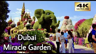 Dubai 🇦🇪 Flower Miracle Garden [ 4K ] Walking Tour April 2023