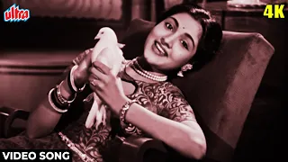 सैयां दिल में आना रे [4K] वीडियो सॉंग : Bahar (1951) Vyjayantimala | Shamshad Begum | Classic Songs