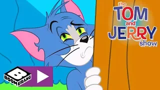 Tom i Jerry Show | Jajka na śniadanie? | Cartoonito