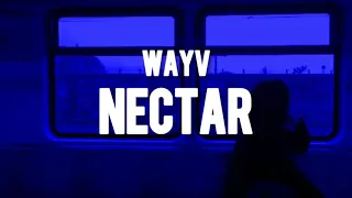 WAYV 威神V - 'NECTAR (月之迷)' (TRADUÇÃO/LEGENDADO)